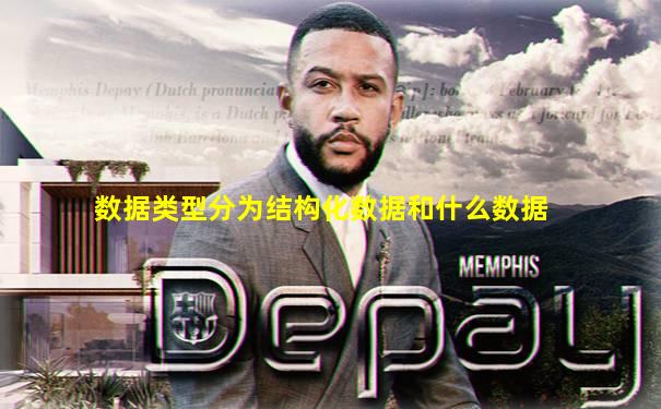 数据类型分为结构化数据和什么数据