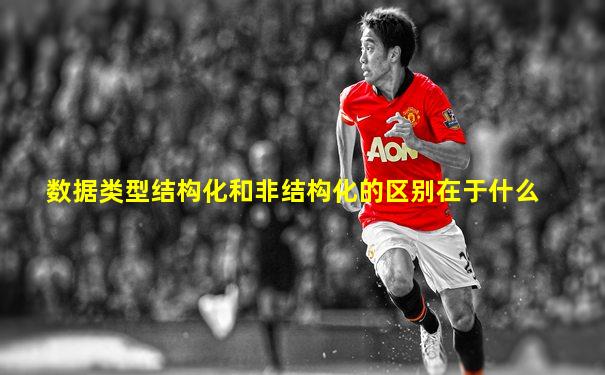 数据类型结构化和非结构化的区别在于什么