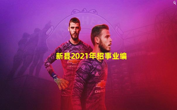 新县2021年招事业编
