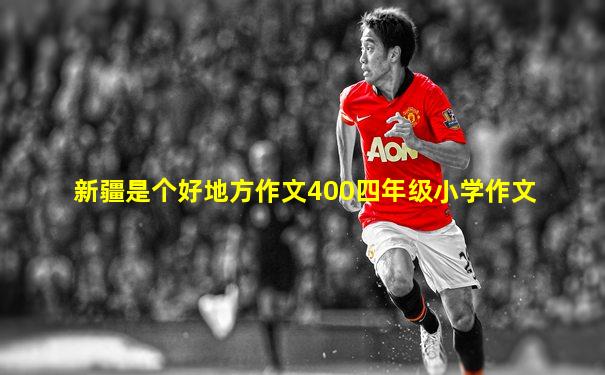 新疆是个好地方作文400四年级小学作文