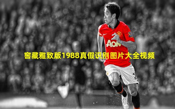 窖藏雅致版1988真假识别图片大全视频