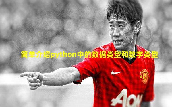 简单介绍python中的数据类型和数字类型