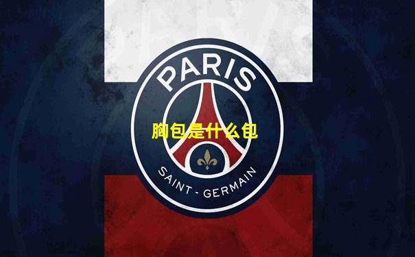胸包是什么包