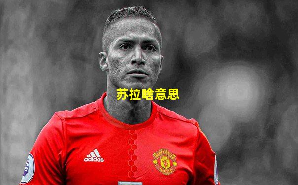 苏拉啥意思