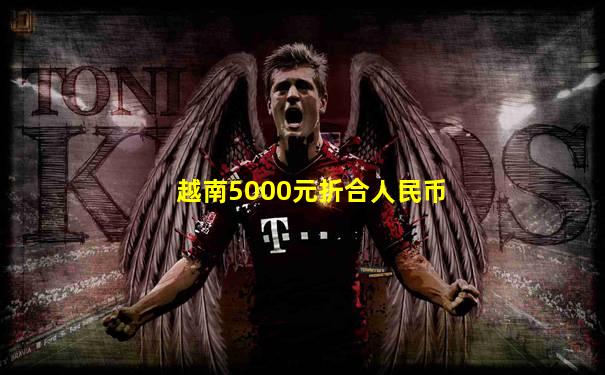 越南5000元折合人民币