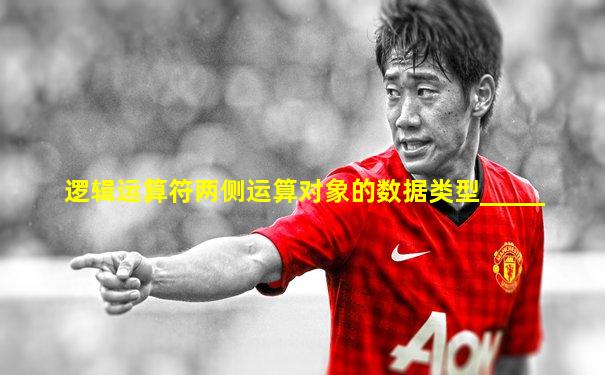 逻辑运算符两侧运算对象的数据类型_____