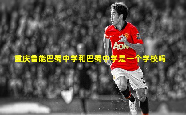 重庆鲁能巴蜀中学和巴蜀中学是一个学校吗