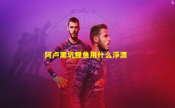 阿卢黑坑鲤鱼用什么浮漂